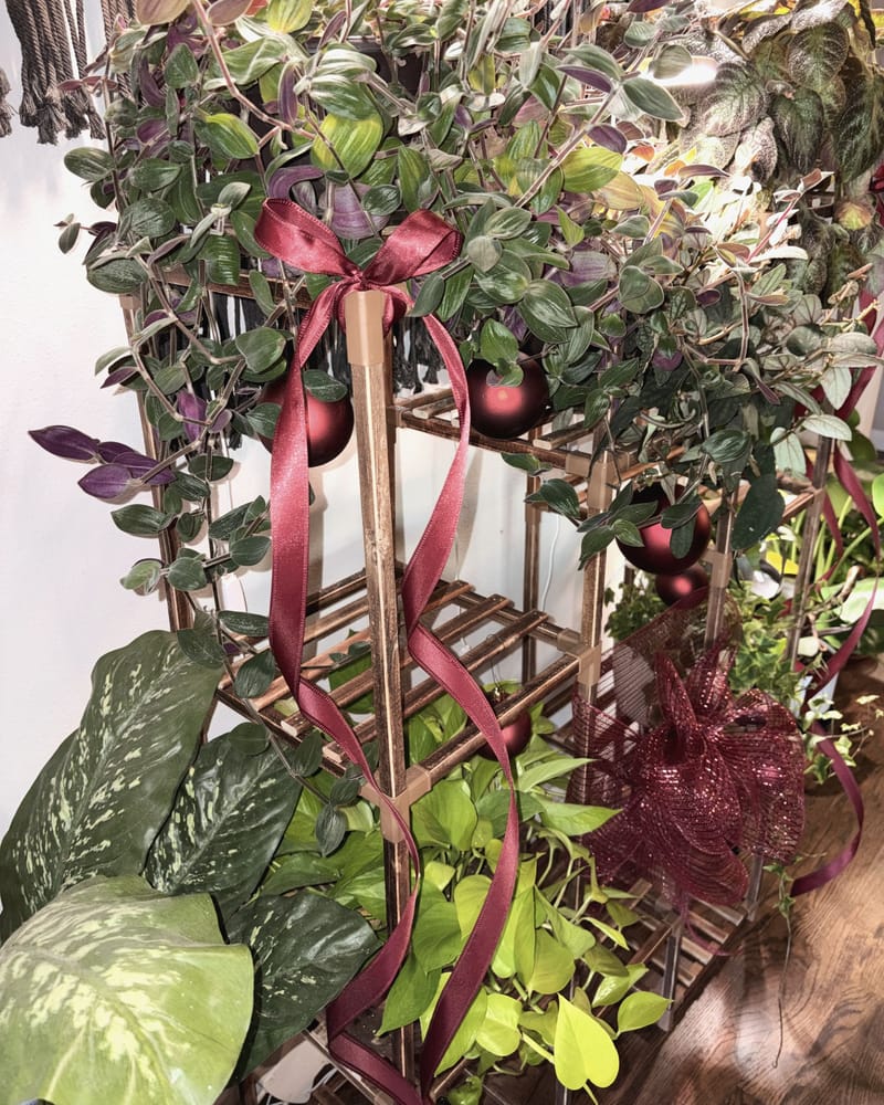 Holiday greenery display on a wooden lattice, tied with burgundy ribbon and red ornaments
